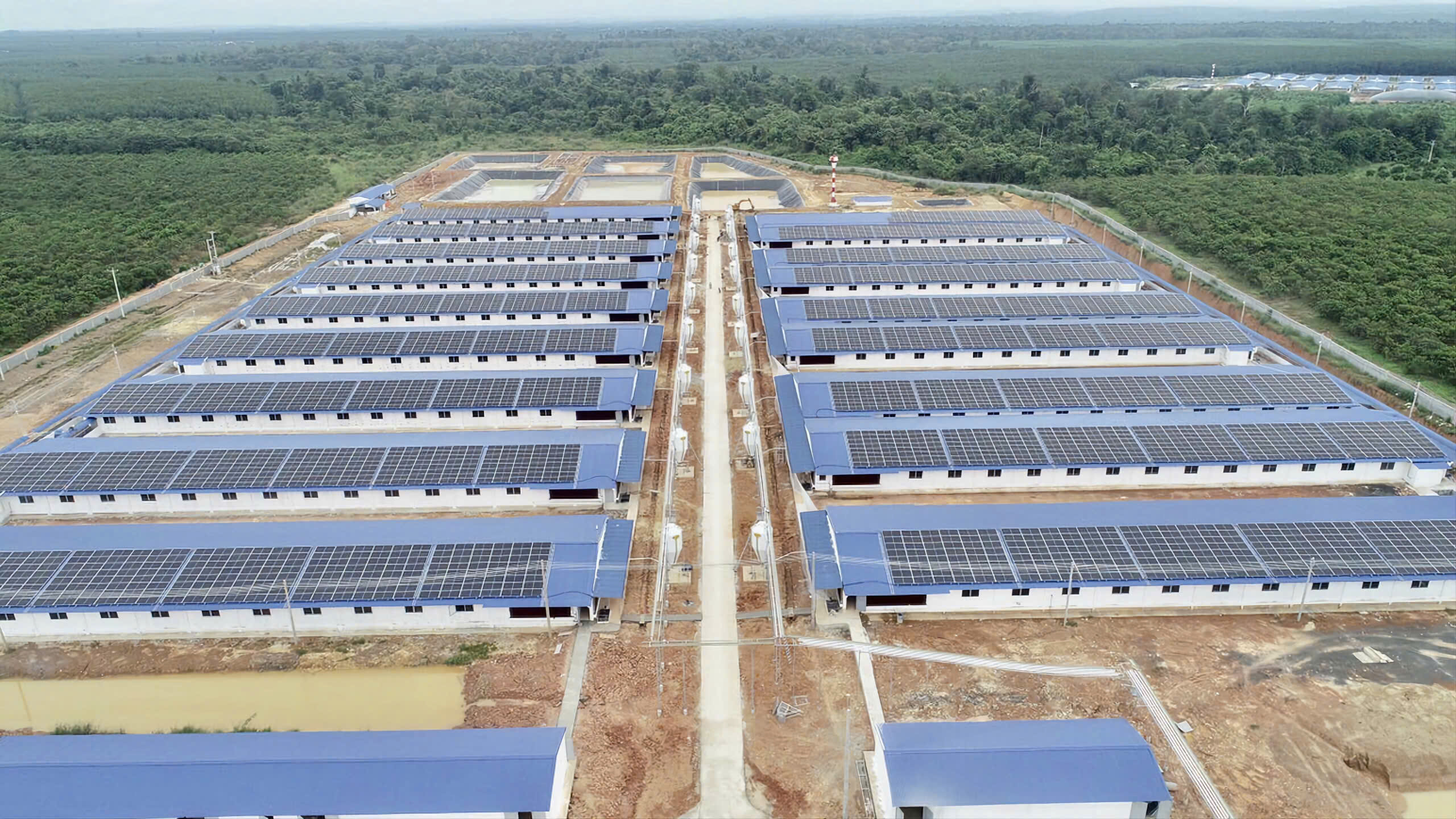 Hệ thống điện mặt trời 2MWp tại trang trại heo Lộc Thuận – Bình Phước