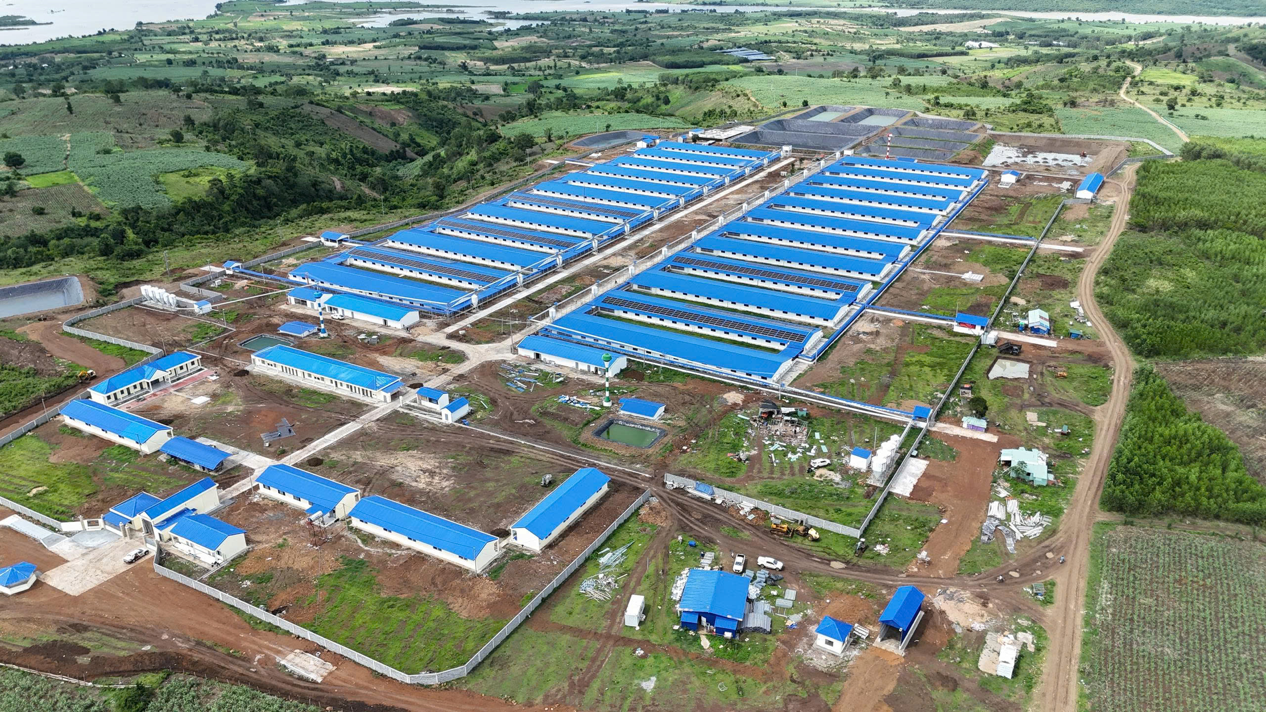 Dự án điện mặt trời áp mái 600kWp tại trang trại heo Ea Lâm – BMC