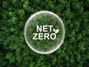 net zero là gì
